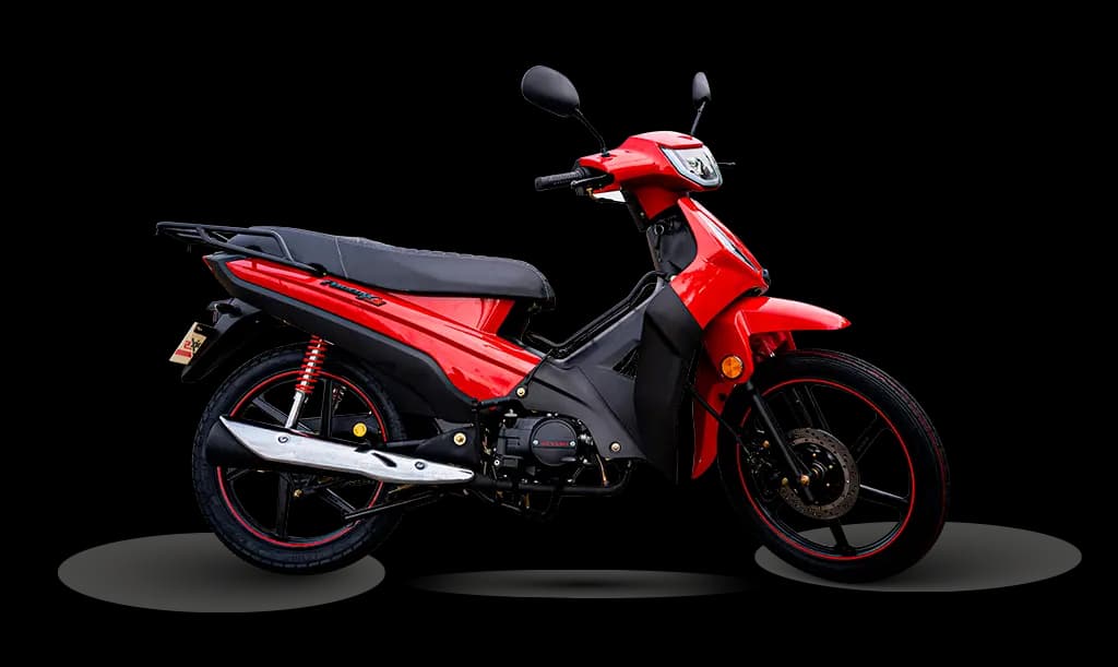 Phoenix S EFI